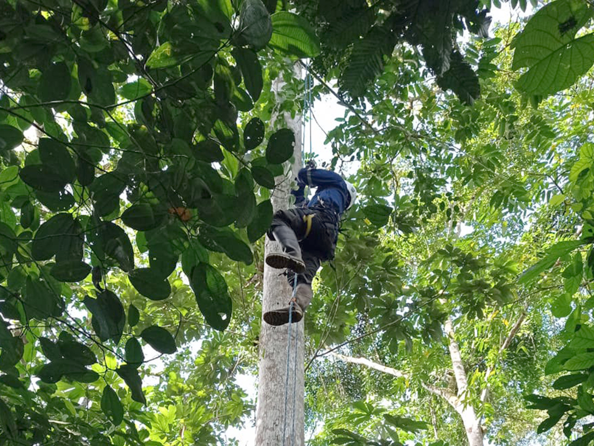 ¡Rainforest Connections visita nuestra reserva Canandé!